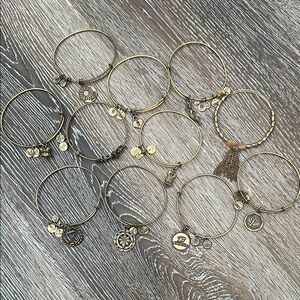 Alex and Ani Gold Charm Bangle Set of 11